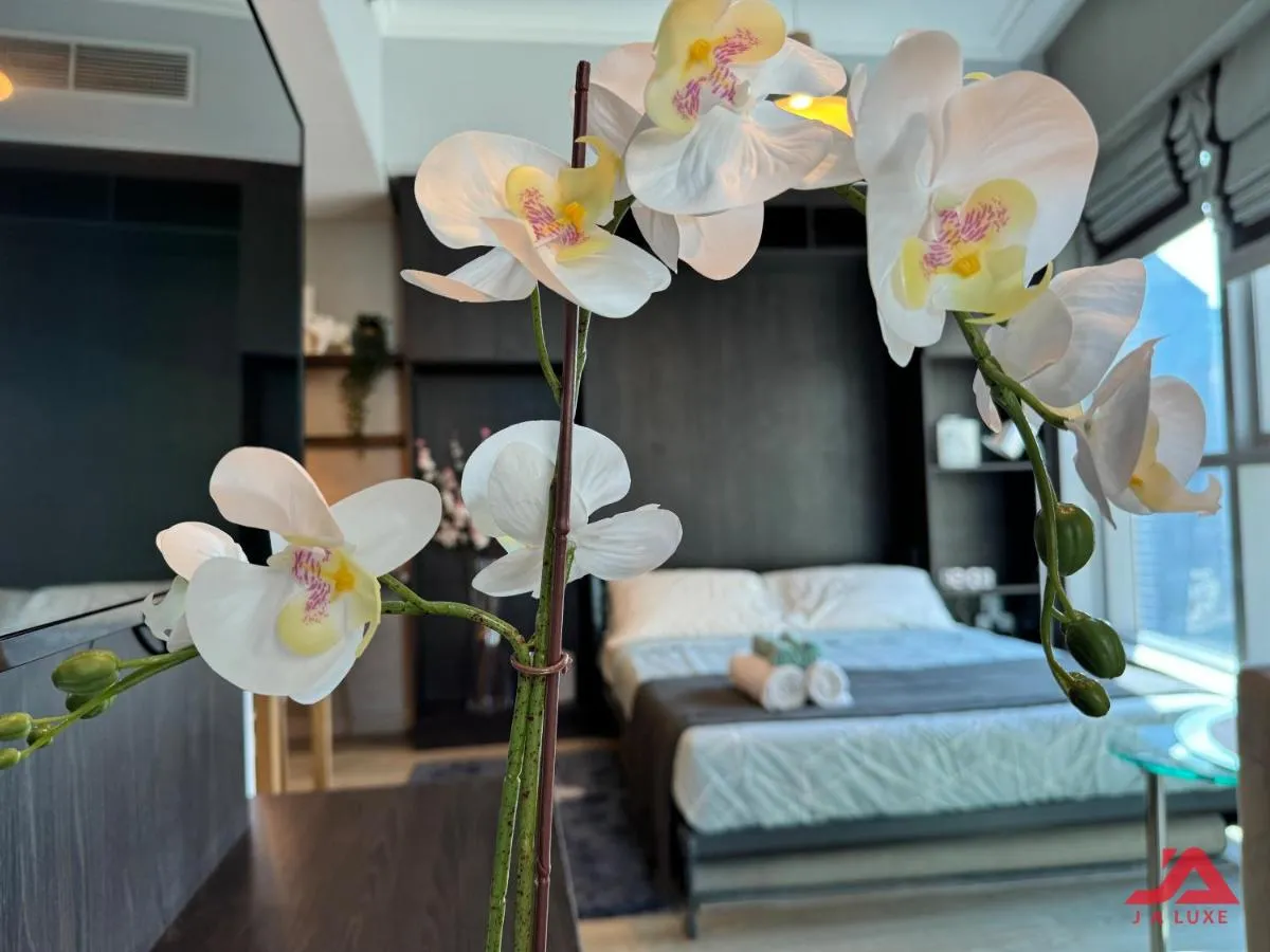 Image 1 of Cozy Marina View Studio in Bay Central Tower, Dubai Marina