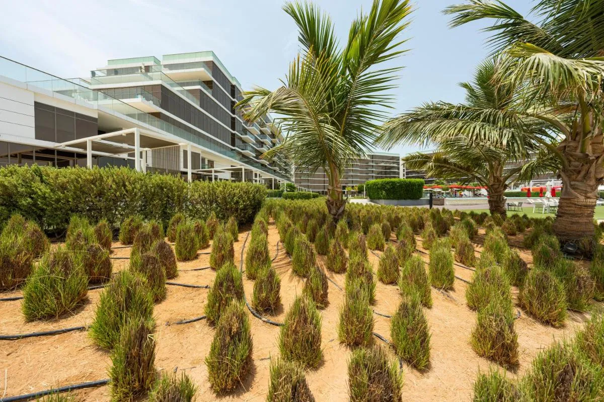 Image 5 of Spacious beachfront 2 bedroom apartment – The 8